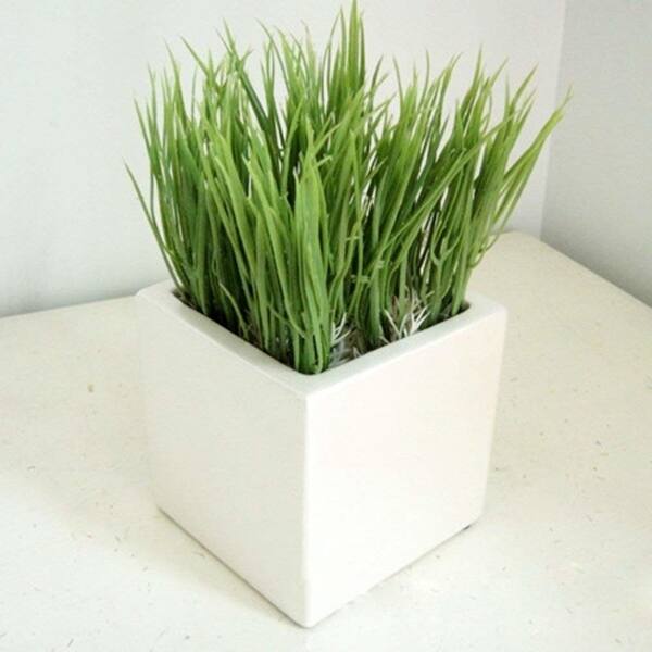 Shop Papasgjx Artificial Bean Sprouts Plastic Plant In Pot For