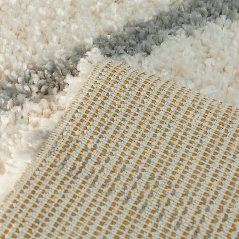 Janus Contemporary Berber Shag Area Rug