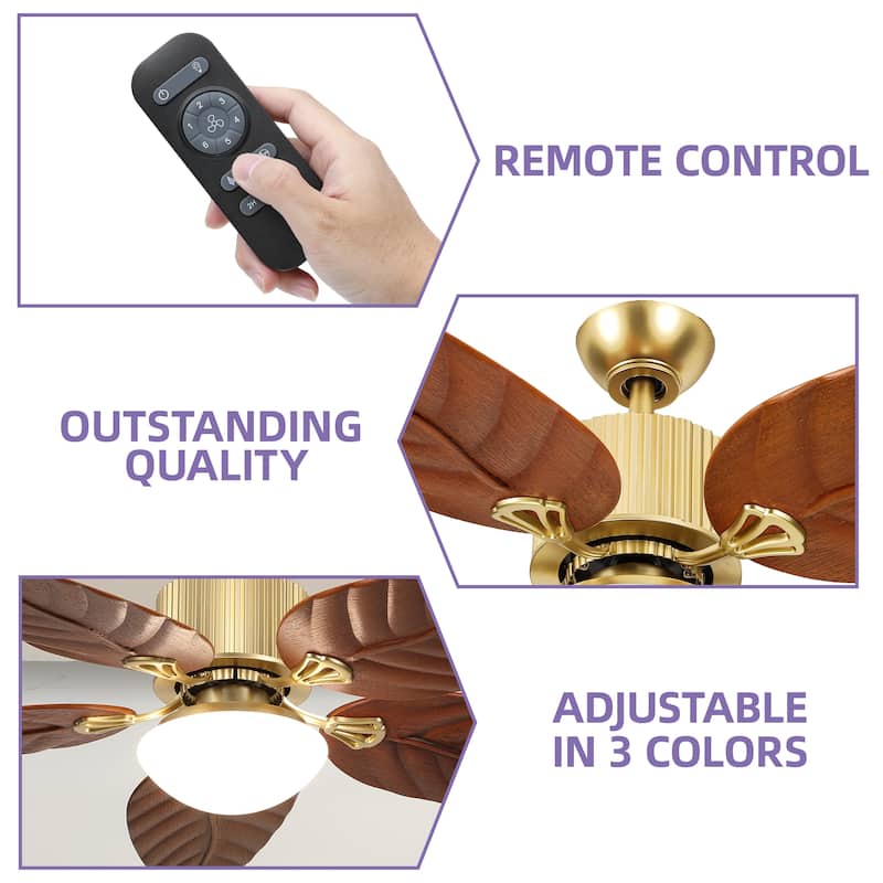 Moasis 52" Tropical Ceiling Fans Collection with Remote