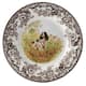 Option English Springer Spaniel