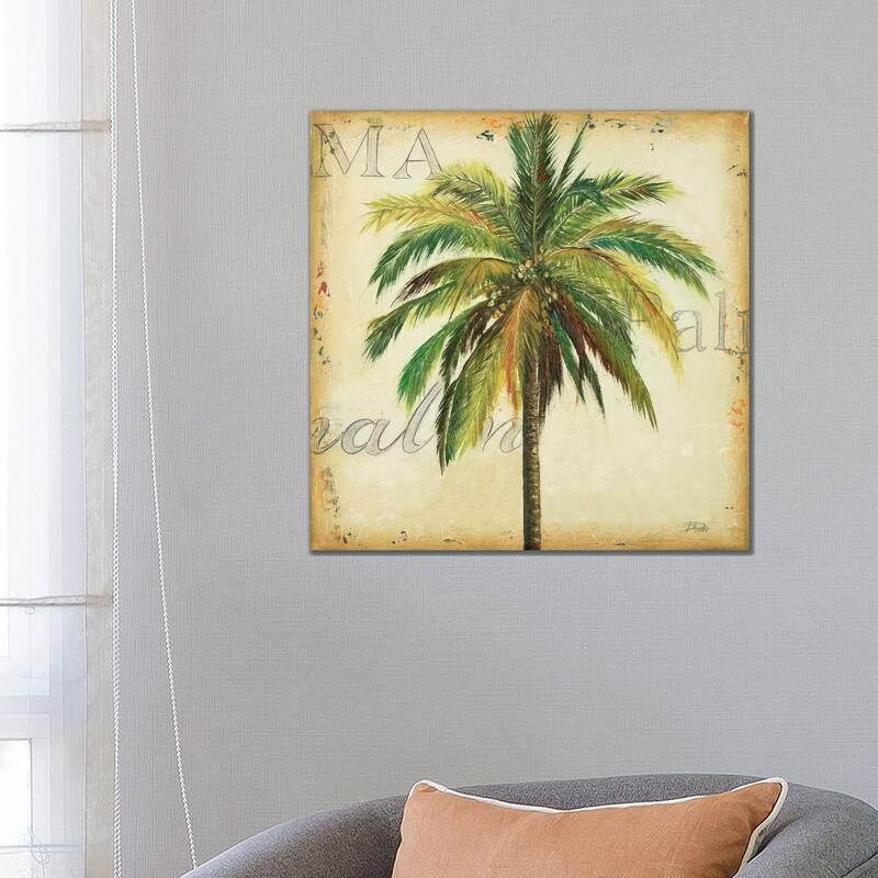 iCanvas "La Palma I" by Patricia Pinto Canvas Print - 26x26x1.5