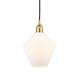 Option Satin Gold / Cased Matte White
