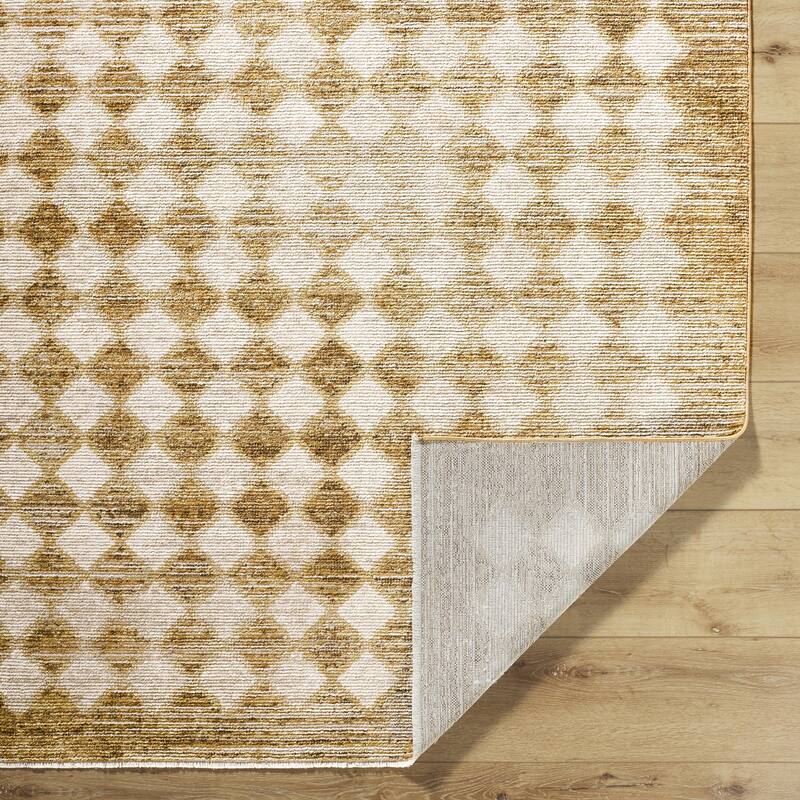 Galey Alix x Livabliss Myrtle Avenue V Vintage Checkerboard Area Rug