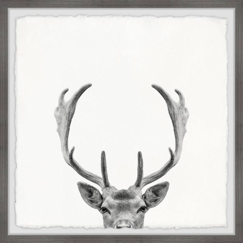 'Giant Antlers' Framed Painting Print