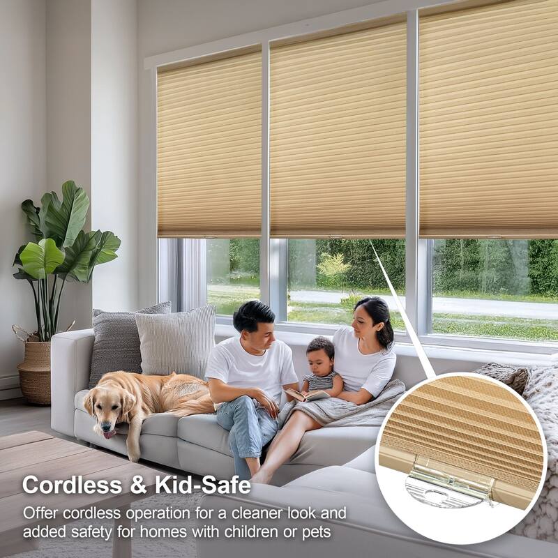 Chicology Cordless Light Filtering Cellular Shade
