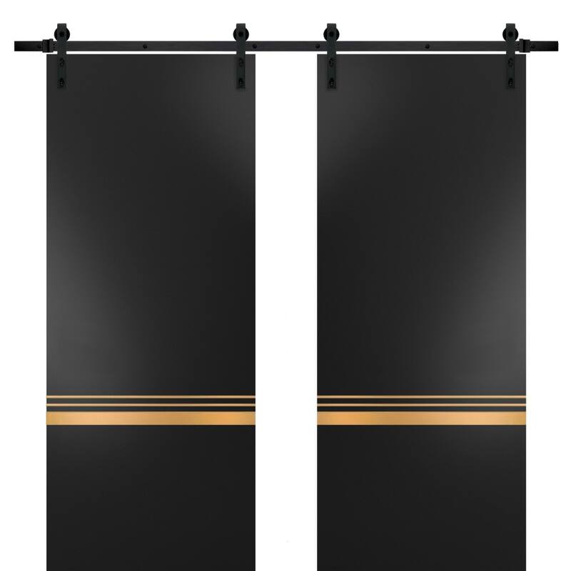Sturdy Double Barn Door 36 x 80 with Planum 2010 Matte Black with 13FT - Black - 36" x 84" ( 2* 18x84)