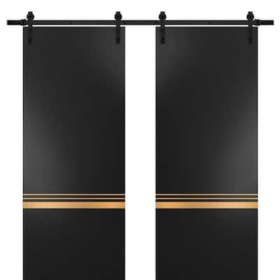 Sturdy Double Barn Door 36 x 80 with Planum 2010 Matte Black with 13FT