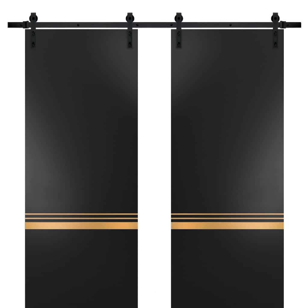 Sturdy Double Barn Door 36 x 80 with Planum 2010 Matte Black with 13FT