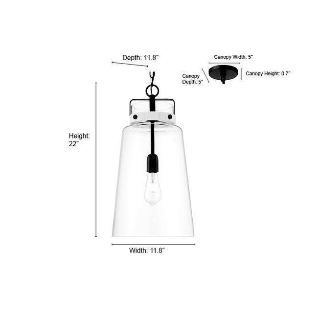 Millennium Lighting 22701 Lolla 12" Wide Pendant