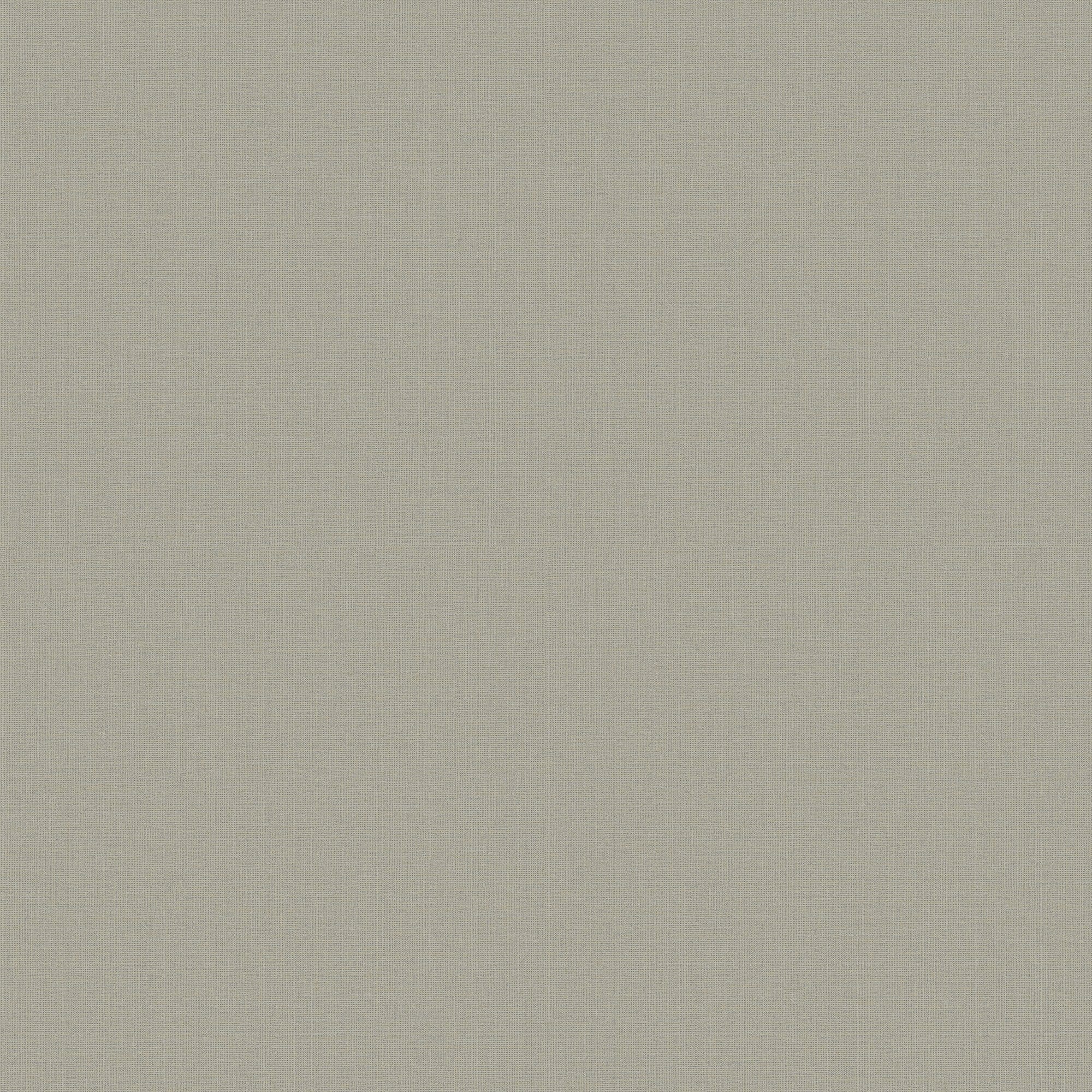 Option Bronze