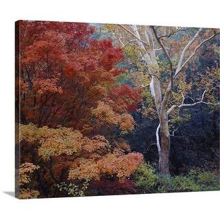 Art Coronado At Overstock Com