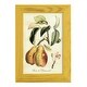 preview thumbnail 87 of 138, Printed Tuscan Fruits IV -Framed Print w/glass-Cherry Red 4x6 - Yellow
