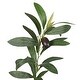 preview thumbnail 8 of 24, Kate and Laurel Oliveira Faux Olive Tree