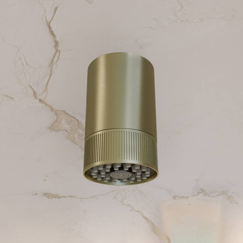 Lumiere 2-Spray Patterns 2.5 Gpm Wall Mount Fixed Shower Head In Brushed Gold