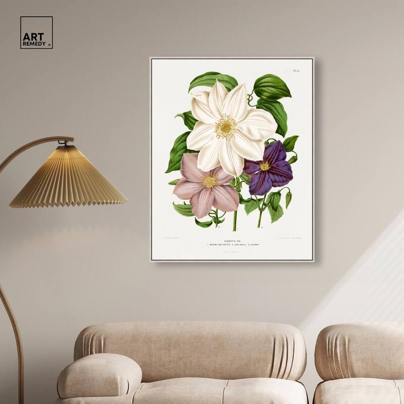 Clematis Canvas by Art Remedy