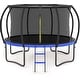 preview thumbnail 1 of 4, 14FT Outdoor Big Trampoline Inner Safety Enclosure Net, Ladder, PVC Spring Cover Padding 5-7 Years
