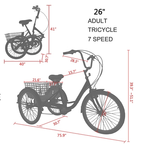 tricycle cruiser adults
