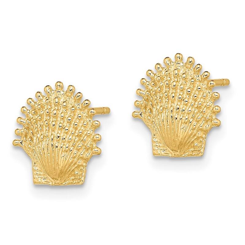 Curata 14k Yellow Gold 10.4mm Beaded Scallop Shell Post Earrings