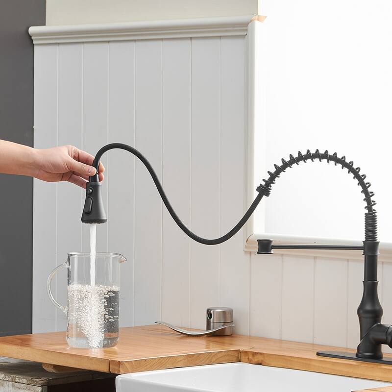 WIZ Single-Handle Pull-Down Sprayer 3 Spray High Arc Kitchen Faucet