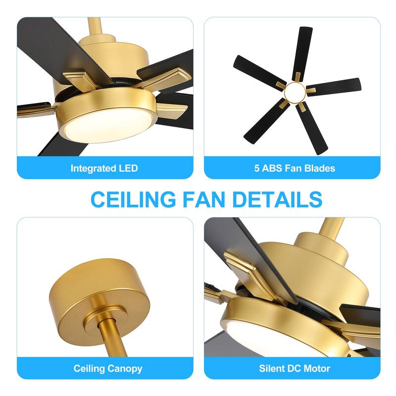 52-IN LED Ceiling Fan with Light Kit and Remote- 5 Blade