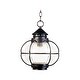 preview thumbnail 1 of 1, Maxim Bronze Seedy Shade Portsmouth 1-light Outdoor Hanging Lantern