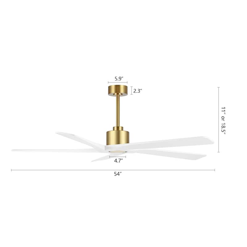 WINGBO 54 Inch DC Motor Indoor Ceiling Fan without Lights
