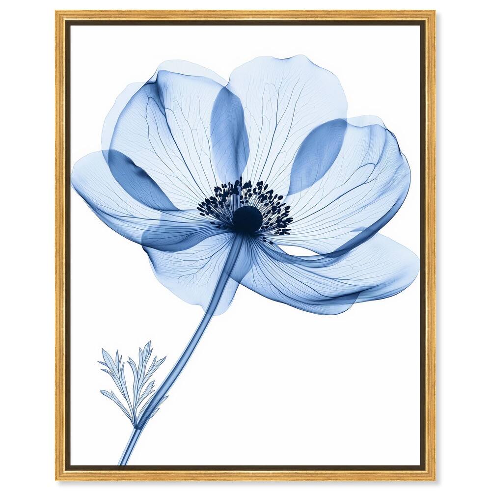Floral Radiograph Canvas by Art Remedy