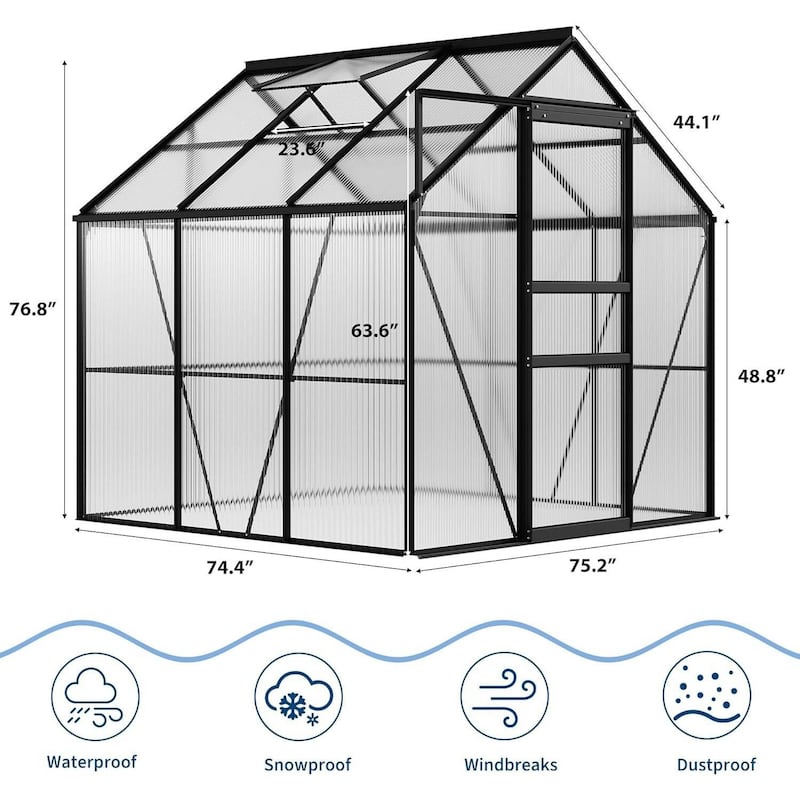 6 x 6 FT Winter Polycarbonate Greenhouse for Outdoors Gardening, Black