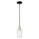 Option Clear / Black Antique Brass