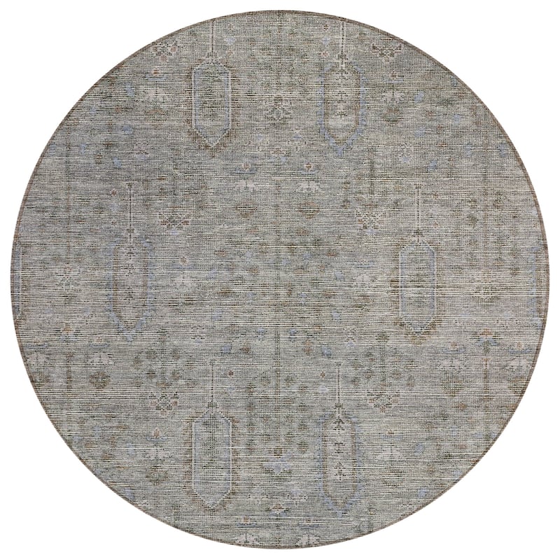 Machine Washable Indoor/ Outdoor Chantille Distressed Traditional Rug