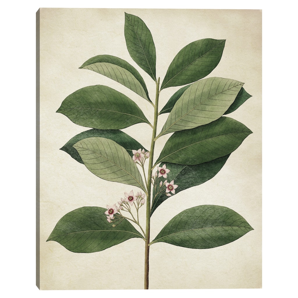 Simple Nature IV Texture by Design Lab Canvas Art Print