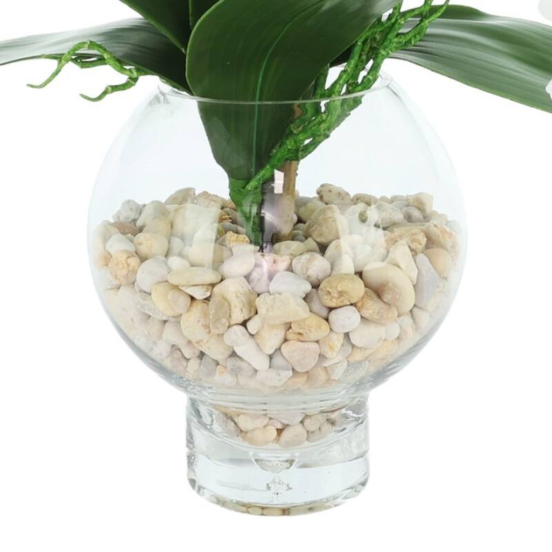 Orchids Arranged in Glass Vase with Rocks - 24