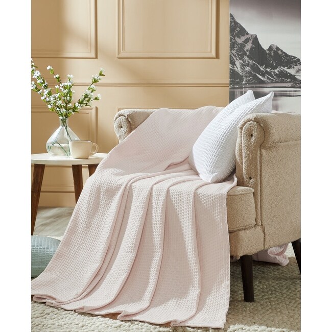 Soft Lightweight Breathable 100% Cotton T-Shirt by Better Trends  -image