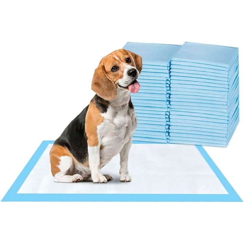 17.1 X 23.6 Super-Absorbent Waterproof Pet Pad 20-Count Large-Size - Blue - 17.1 X 23.6 - 17.1 X 23.6