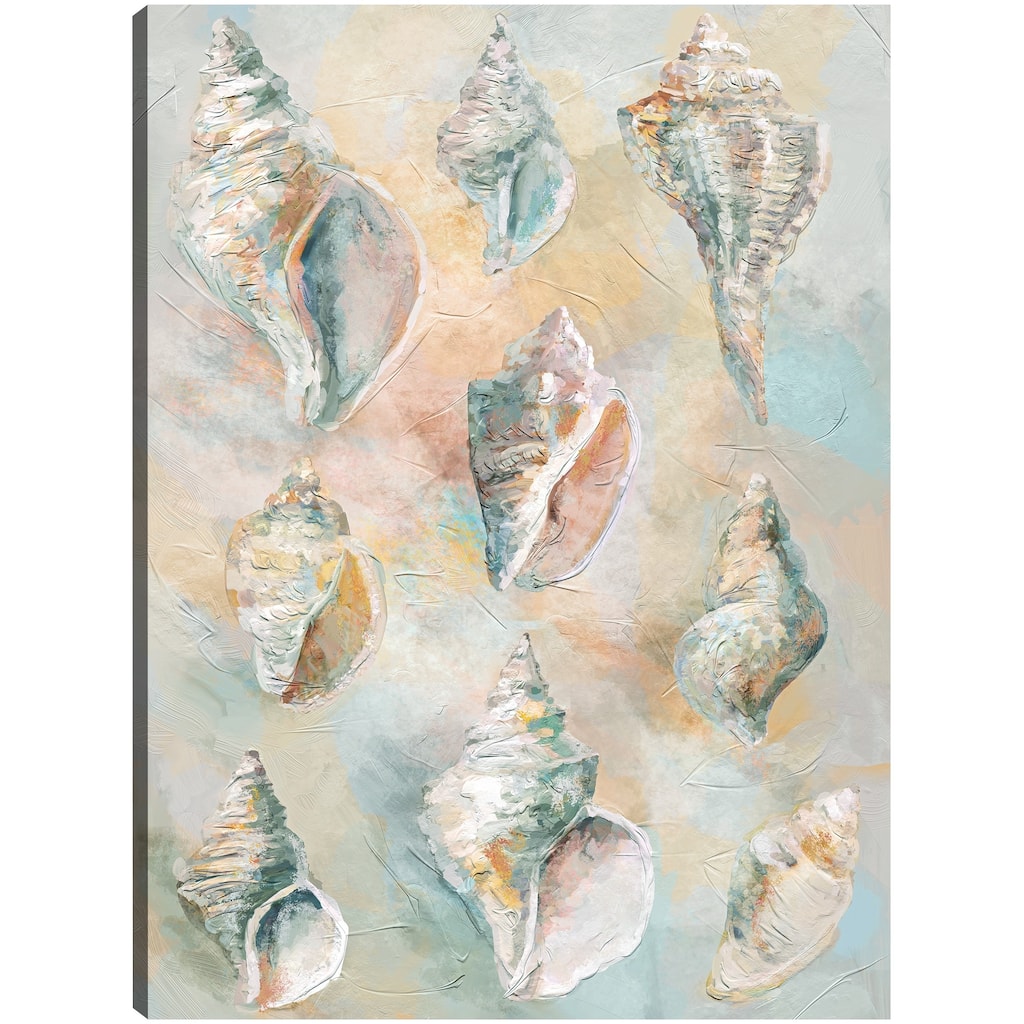 Tulip Shells By Studio Arts Canvas Art Print