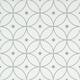 Option Gray Atom
