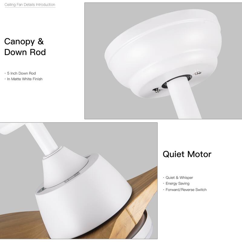 Whisper-Quiet Motor Wooden Ceiling Fan with Light and Remote, 6-Speed Reversible DC Motor, 3-Color Light Settings
