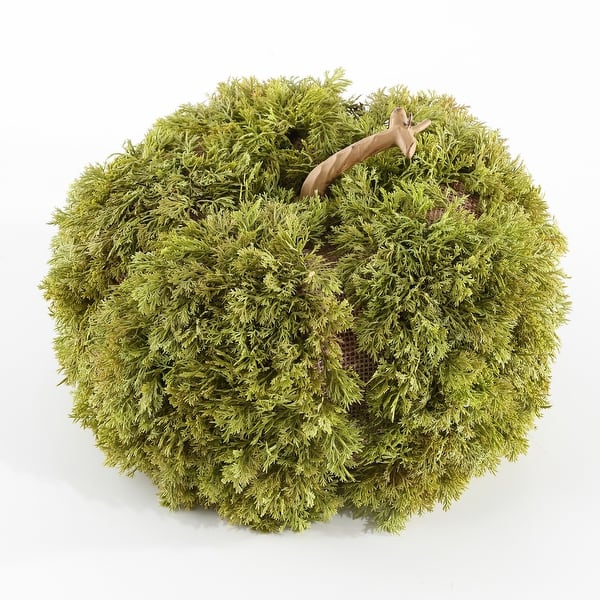 slide 2 of 4, SAFAVIEH Faux 10 Inch Moss Pumpkin - 10" W x 10" D x 6" H