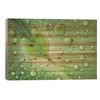 Heart Print On Wood by Patrick Foto - Multi-Color