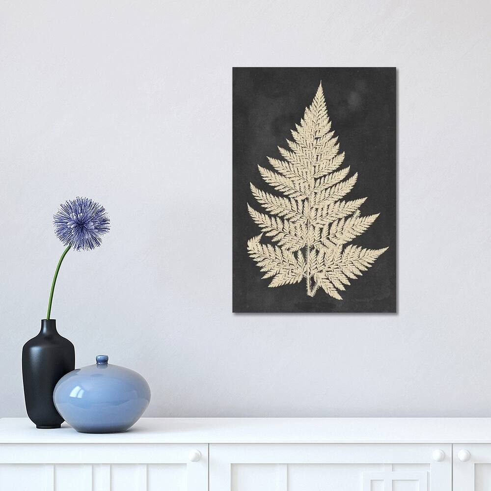 iCanvas "Linen Fern I" by Vision Studio Canvas Print
