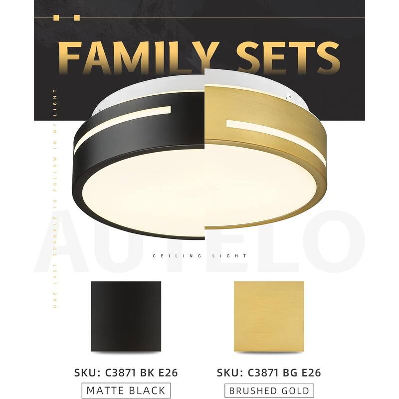 2-light hallway light gold ceiling light glass kitchen light