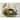 Randall Fruit with Parrot 1777 Canvas by Art Remedy, Gallery Wrapped