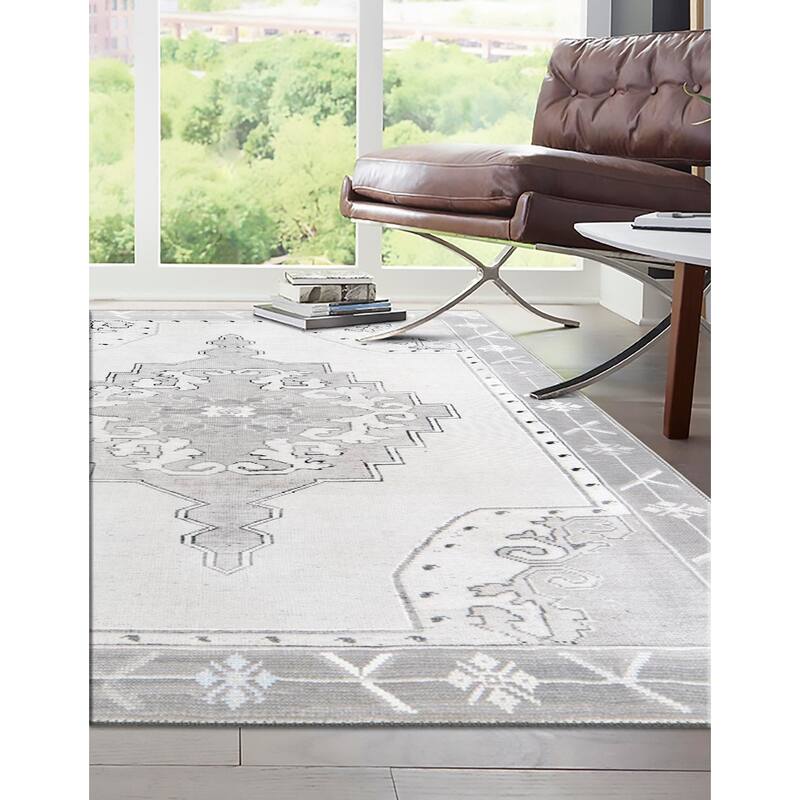 Traditional Rine Collection Area Rug