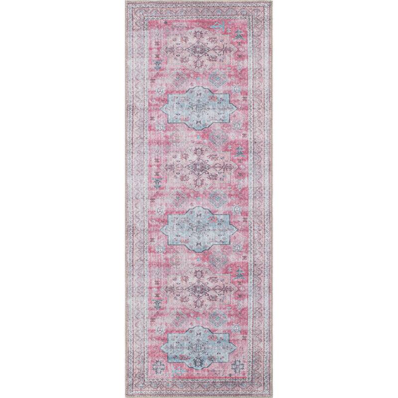 Distressed Transitional Bohemian Area Rug