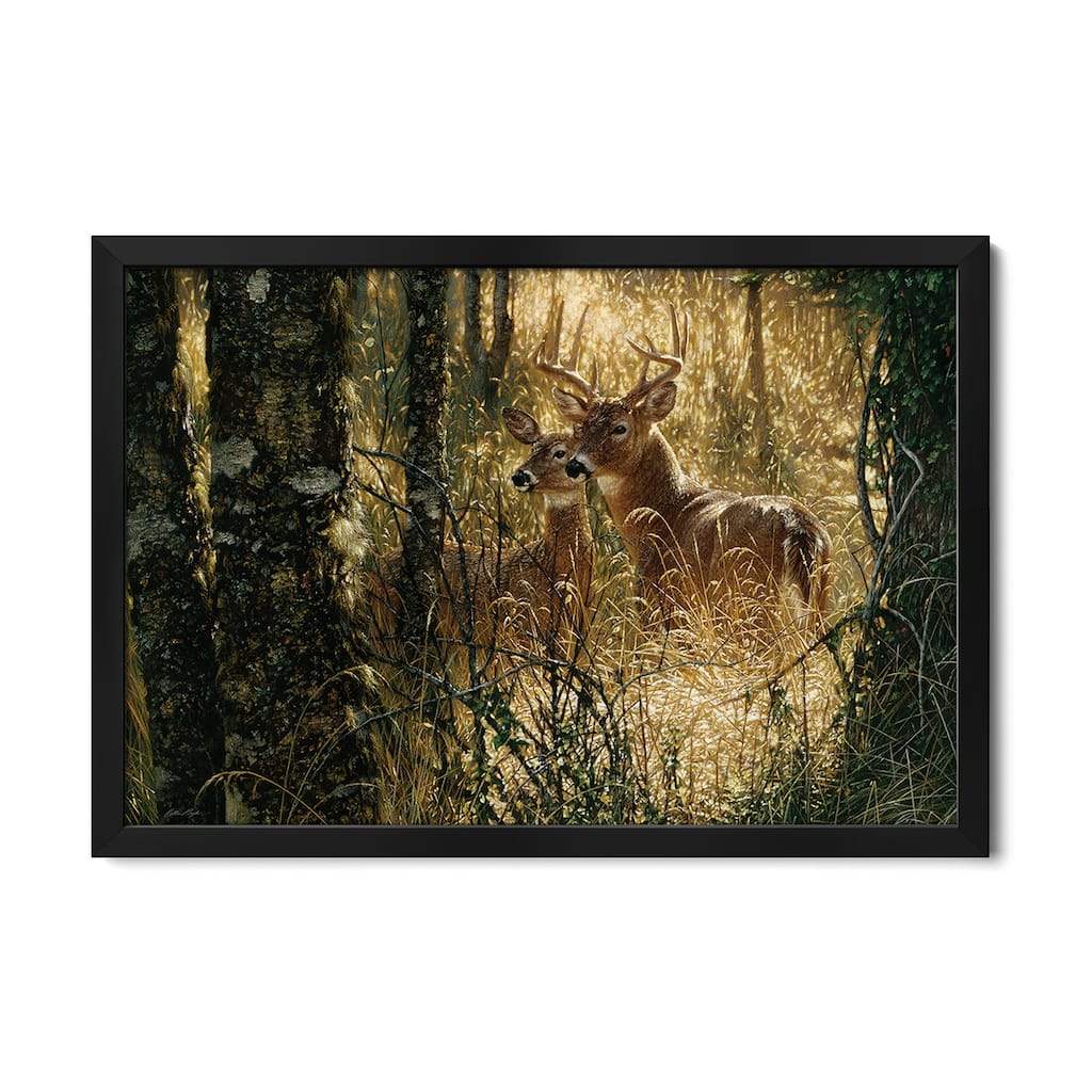 A Golden Moment - Whitetail Deer, Horizontal Premium Framed Poster by Collin Bogle
