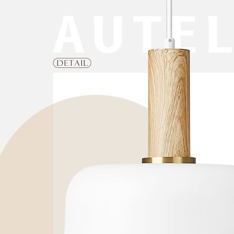 Ceiling Dome Light, Pendant Light Fixture