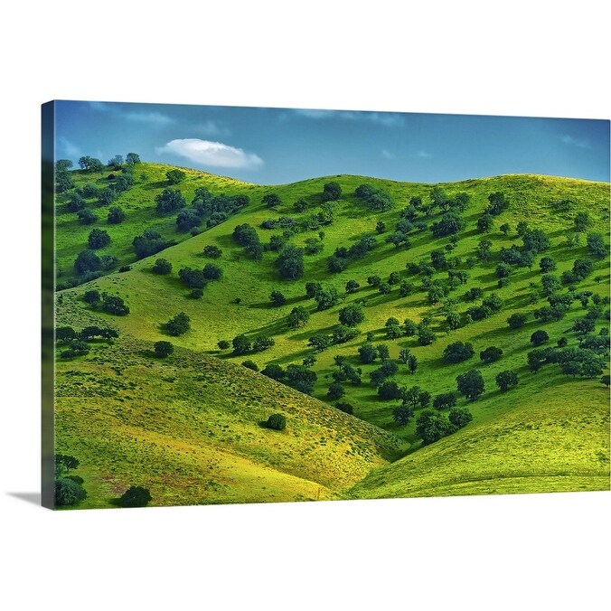 Shop Rolling Hills Along The California Coast Turn A Verdant