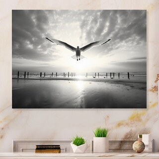Designart "Grey Beach Seagulls In Flight III" Animals Metal Art Print ...