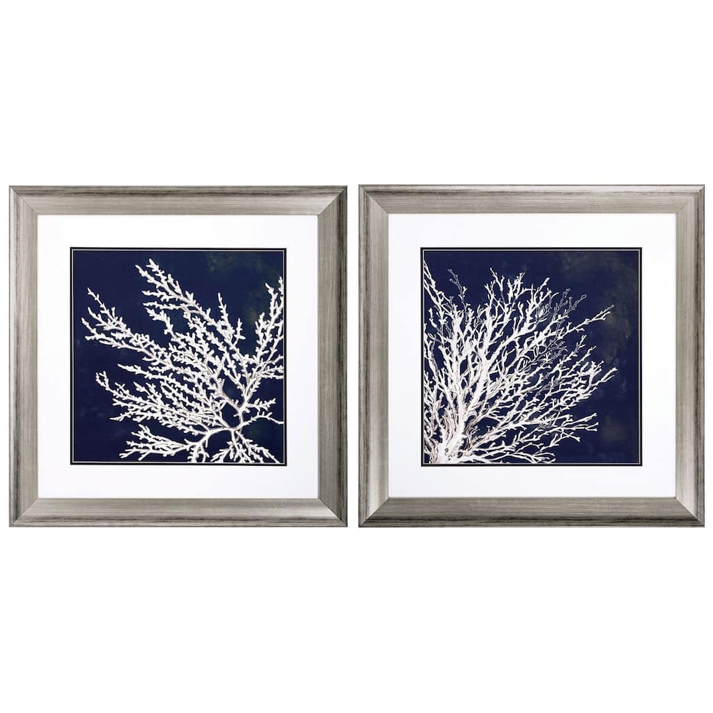 Coastal Coral S/2 Framed Art Under glass