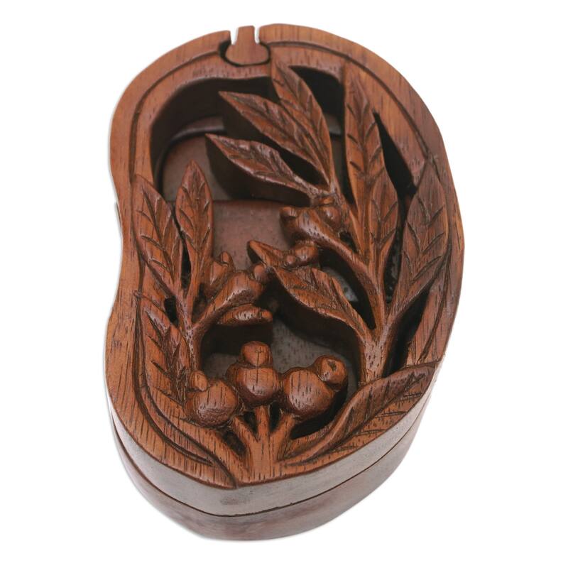Novica Handmade Spring Vibes Wood Puzzle Box